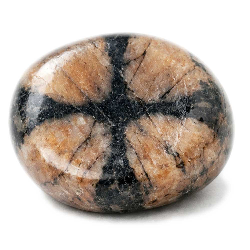 Chiastolith kaufen
