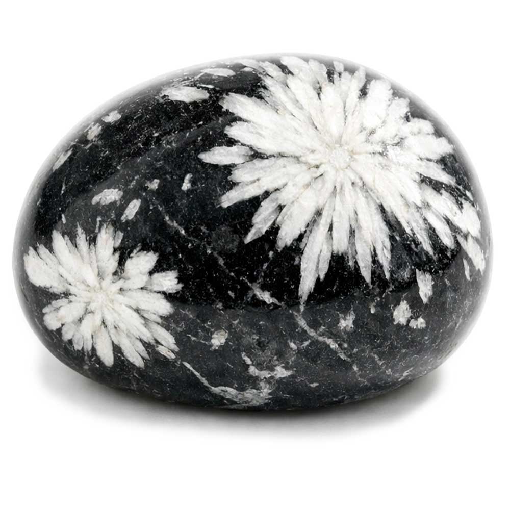 Chrysanthemenstein kaufen