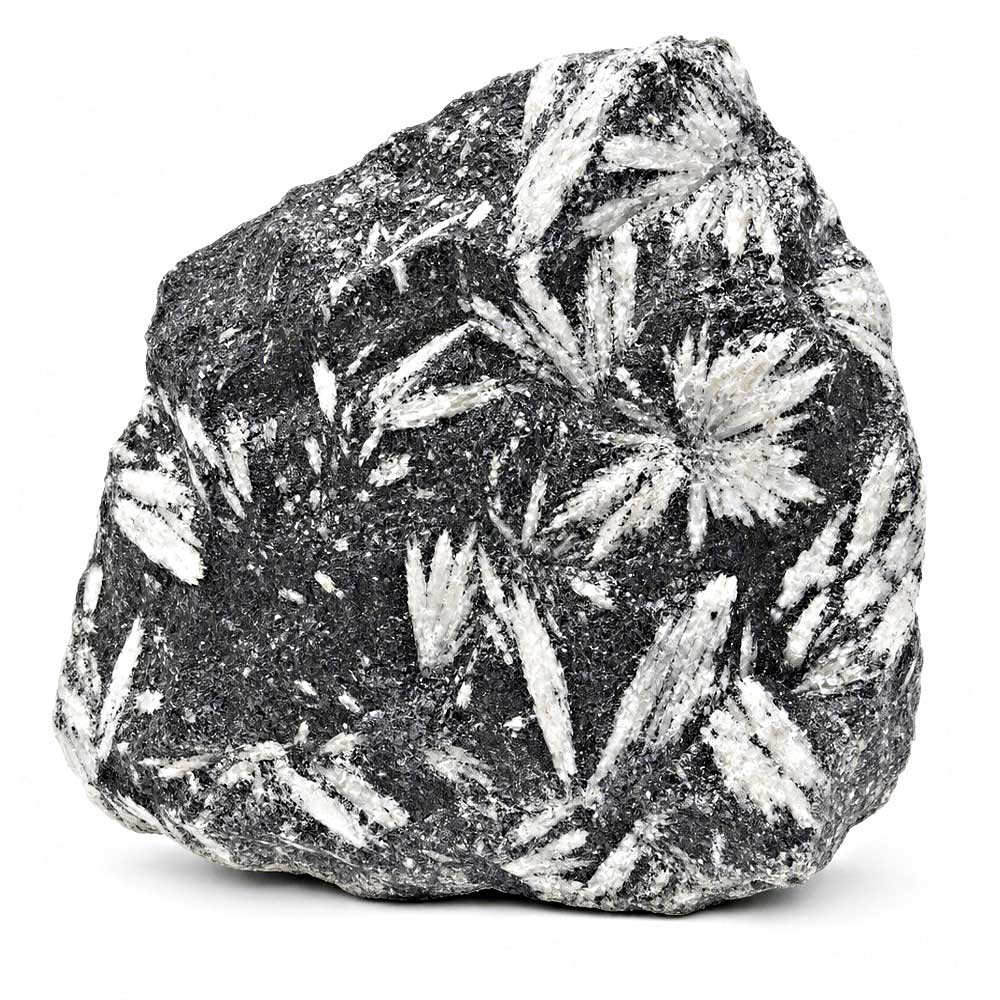 Pinolith kaufen