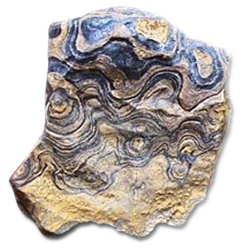 Stromatolith kaufen