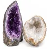 Geoden & Drusen