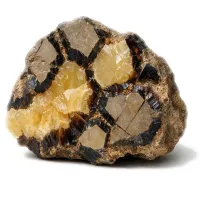 Septarie Septarie | Ein Stein der inneren Stärke und des Wandels