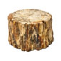 Versteinertes Holz Versteinertes Holz: Uralte Weisheit und kraftvolle Erdung