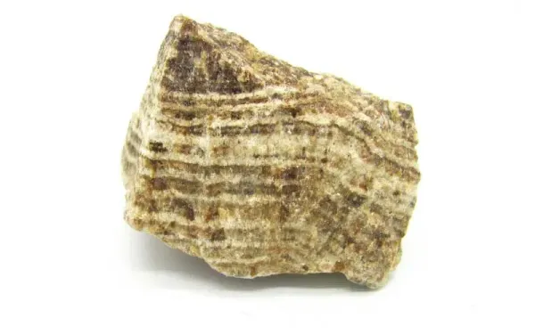 Aragonit braun Rohsteine
