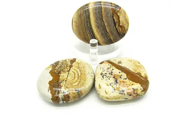 Landschaftsjaspis  (  Quarz-Sandstein ) Scheibensteine