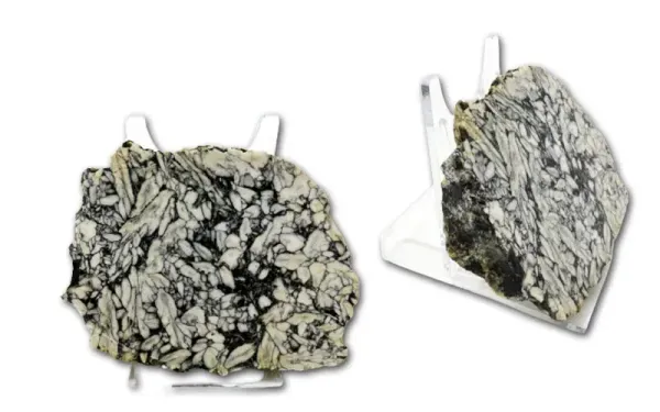 Pinolith ( Eisblumen-Magnesit ) Anschliff Einzelstück #3