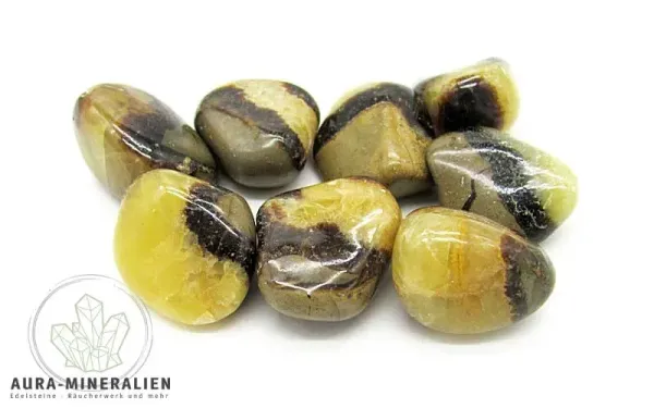 Septarie Trommelsteine