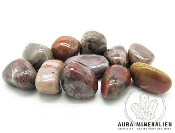 Alt TEXT: Versteinertes Holz Trommelstein aus Madagaskar in braunen Naturtönen