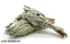 Weißer Salbei smudge Räucherwerk
