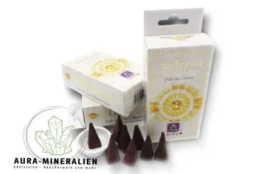 Berk Ambrosia Räucherpyramiden Packung mit Keramikhalter
