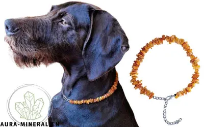 Natur Bernsteine Hundekette mitt...