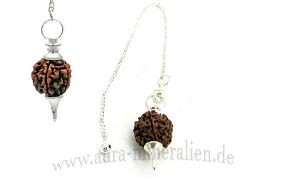 Rudraksha Samen als Pendel