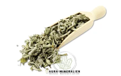 Aromatischer Zypern-Salbei für k...