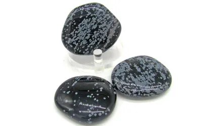 Snowflake Obsidian Scheibensteine Schneeflockenobsidian als Scheib...